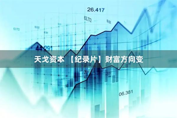 天戈资本 【纪录片】财富方向变