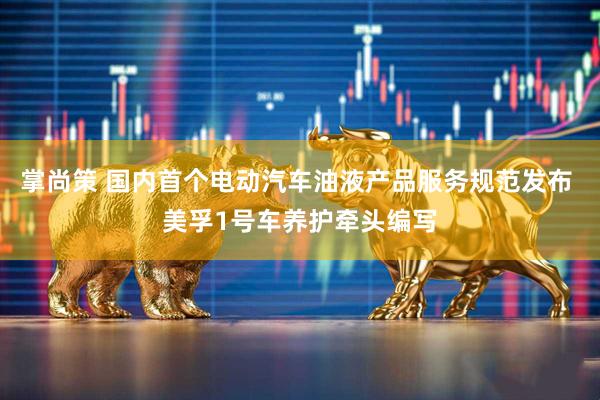 掌尚策 国内首个电动汽车油液产品服务规范发布 美孚1号车养护牵头编写