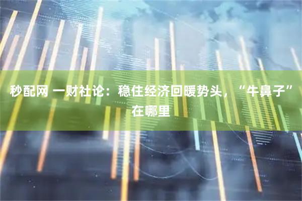 秒配网 一财社论：稳住经济回暖势头，“牛鼻子”在哪里