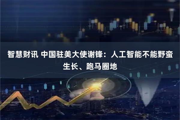 智慧财讯 中国驻美大使谢锋:人工智能不能野蛮生长、跑马圈地