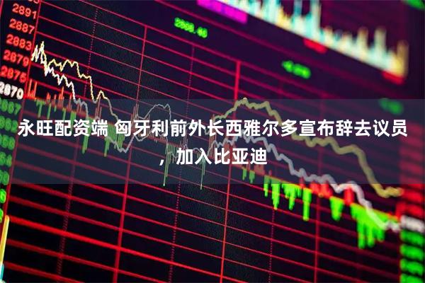 永旺配资端 匈牙利前外长西雅尔多宣布辞去议员，加入比亚迪