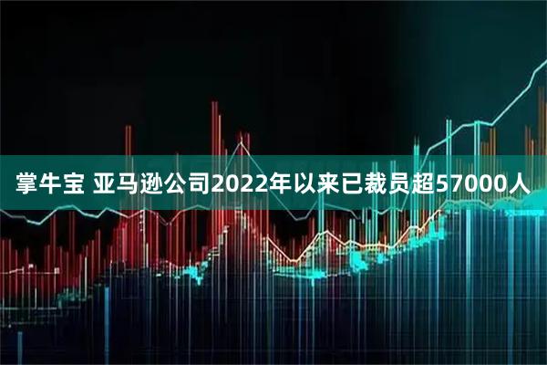 掌牛宝 亚马逊公司2022年以来已裁员超57000人