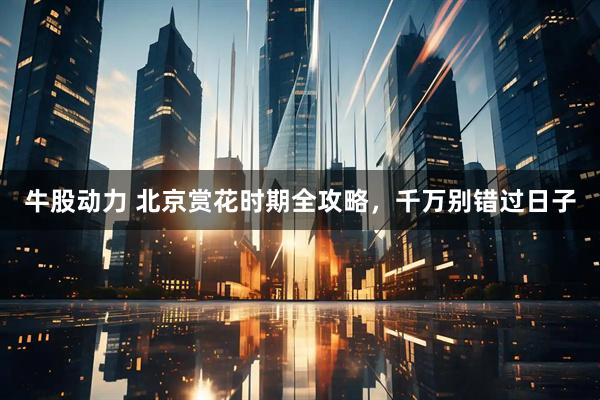 牛股动力 北京赏花时期全攻略，千万别错过日子