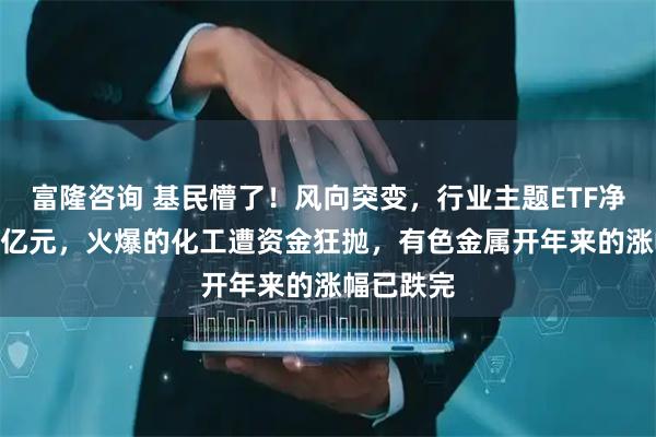 富隆咨询 基民懵了！风向突变，行业主题ETF净流出262亿元，火爆的化工遭资金狂抛，有色金属开年来的涨幅已跌完