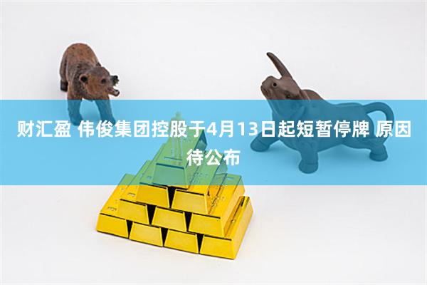 财汇盈 伟俊集团控股于4月13日起短暂停牌 原因待公布