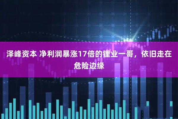 泽峰资本 净利润暴涨17倍的锂业一哥，依旧走在危险边缘