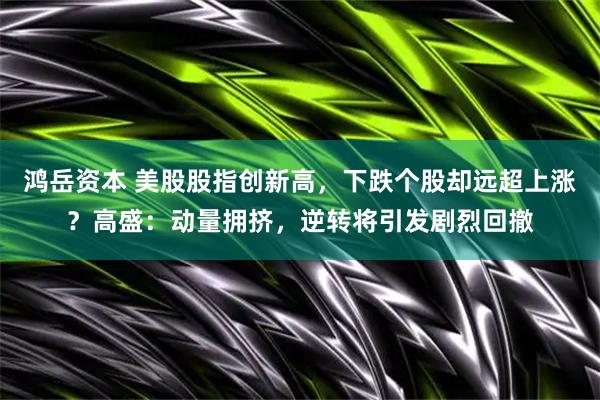 鸿岳资本 美股股指创新高，下跌个股却远超上涨？高盛：动量拥挤，逆转将引发剧烈回撤