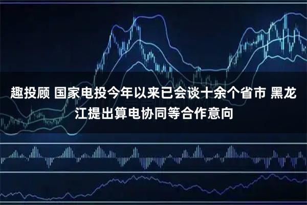 趣投顾 国家电投今年以来已会谈十余个省市 黑龙江提出算电协同等合作意向