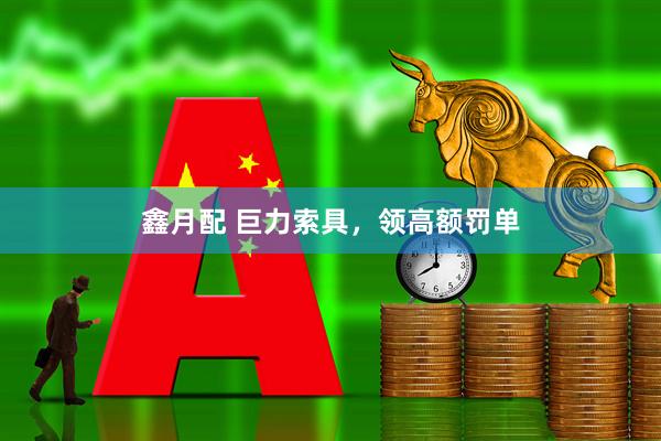 鑫月配 巨力索具，领高额罚单