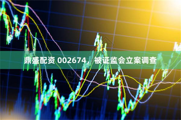 鼎盛配资 002674，被证监会立案调查